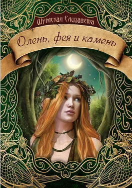 Елизавета Шумская Олень, фея и камень [СИ litres] обложка книги