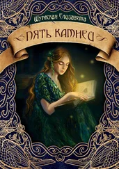 Елизавета Шумская - Пять камней [СИ litres]