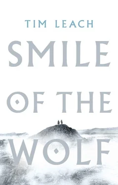 Tim Leach Smile of the Wolf обложка книги