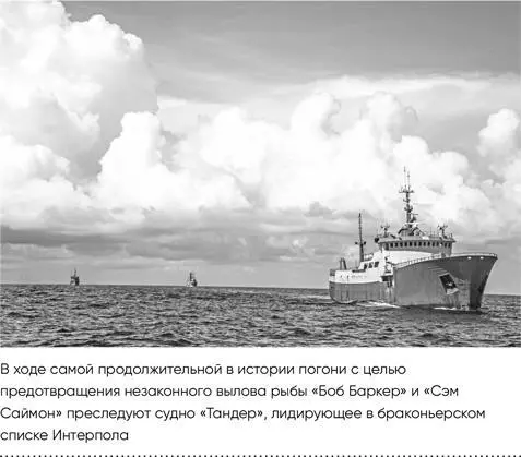 Так началась самая продолжительная погоня за браконьерским судном в истории - фото 3