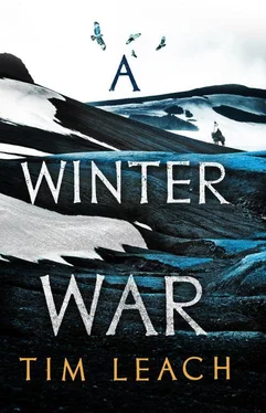 Tim Leach A Winter War обложка книги