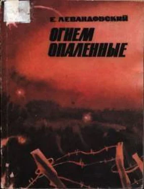 Евгений Левандовский Огнем опаленные обложка книги