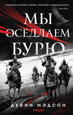 Девин Мэдсон Мы оседлаем бурю [litres] обложка книги