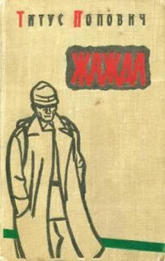 Титус Попович Жажда обложка книги