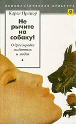 Карен Прайор - Несущие ветер