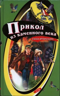 Елена Артамонова Прикол из каменного века обложка книги