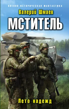 Валерий Шмаев Лето надежд [litres] обложка книги