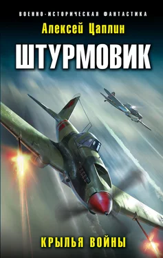 Алексей Цаплин Крылья войны [litres] обложка книги