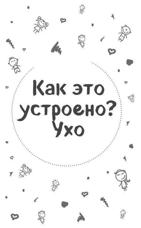 Человеческое ухо настоящее чудо природы с его помощью мы не только слышим - фото 3