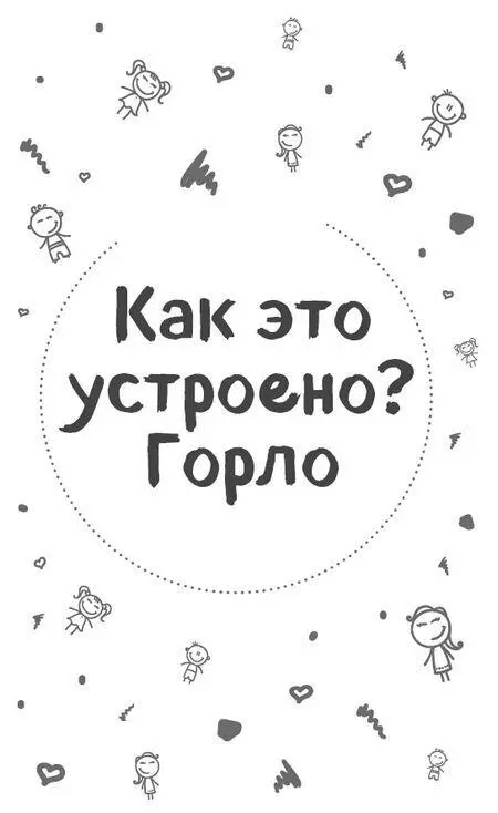 Человеческое горло состоит из двух взаимосвязанных отделов глотки и гортани - фото 4
