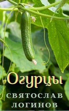 Святослав Логинов Огурцы (Венок сонетов) обложка книги