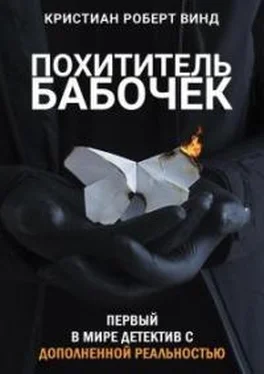 Кристиан Винд Похититель бабочек обложка книги
