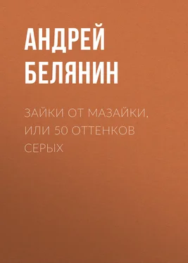 Андрей Белянин Зайки от Мазайки, или 50 оттенков серых обложка книги