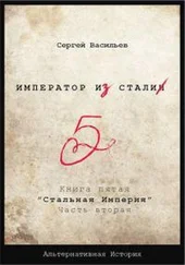 Сергей Васильев - Император из стали Книга 5я - Стальная империя