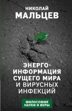 Николай Мальцев Энергоинформация сущего мира и вирусных инфекций. Философия науки и веры обложка книги