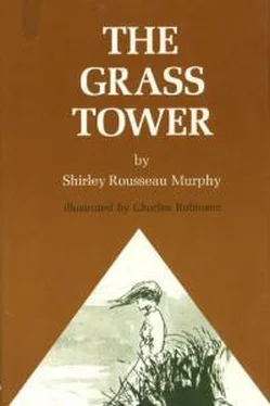 Ширли Мерфи The Grass Tower