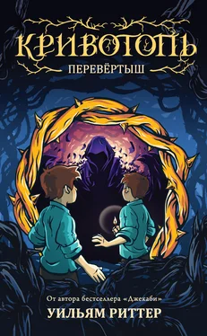 Уильям Риттер Перевёртыш [litres] обложка книги