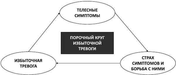Рис 6Порочный круг избыточной тревоги Но весь парадокс заключается в том что - фото 9