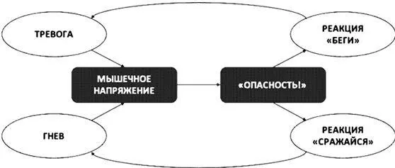 Рис 15Порочный круг мышечного напряжения Расслабить напряжённые мышцы как - фото 23