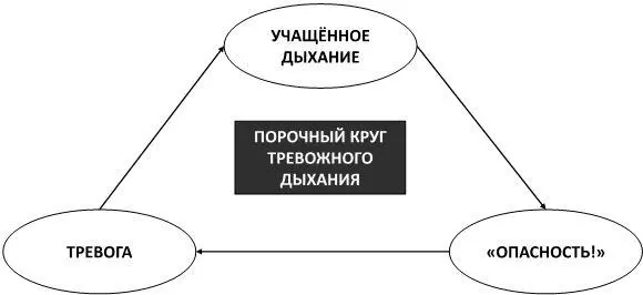 Рис 16Порочный круг тревожного дыхания Такой подход позволит вам получить - фото 24