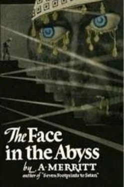 Абрахам Меррит The Face In The Abyss обложка книги