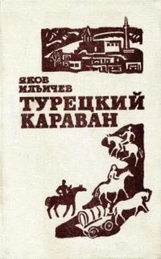 Яков Ильичёв Турецкий караван обложка книги