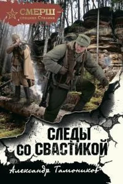 Александр Тамоников Следы со свастикой обложка книги