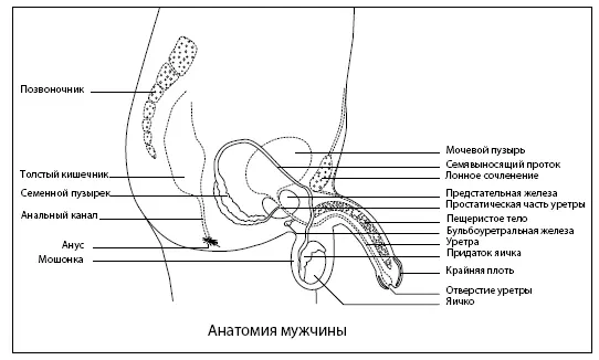 На всю голову 5 В оригинале Head case англ больной на всю голову - фото 1