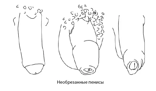 Но для большинства необрезанных мужчин в Соединенных Штатах крайняя плоть часто - фото 3