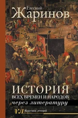 Евгений Жаринов - История всех времен и народов через литературу [litres]