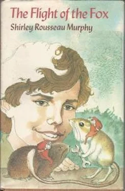 Ширли Мерфи The Flight Of The Fox обложка книги