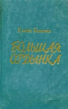 Елена Быкова Большая Ордынка обложка книги