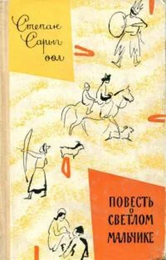 Степан Сарыг-оол Повесть о светлом мальчике обложка книги