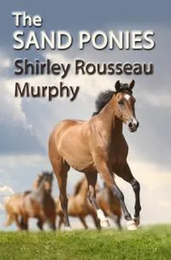 Ширли Мерфи The Sand Ponies обложка книги