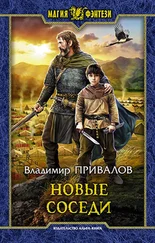 Владимир Привалов - Новые соседи [litres]