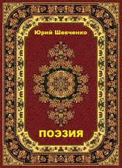 Юрий Шевченко - Поэзия