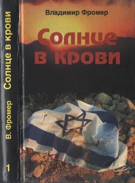 Владимир Фромер Солнце в крови. Том первый обложка книги