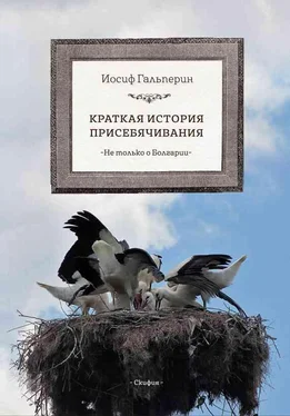 Иосиф Гальперин Краткая история присебячивания. Не только о Болгарии обложка книги