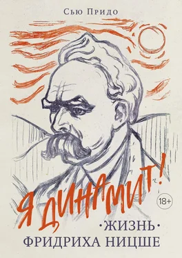 Сью Придо Жизнь Фридриха Ницше [litres] обложка книги