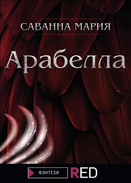 Мария Саванна Арабелла [litres] обложка книги