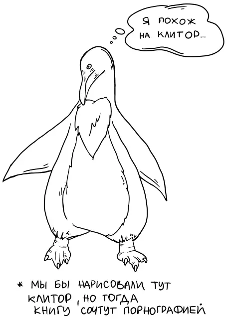 Но на этом чудеса не заканчиваются Доктор Элизабет Ллойд проанализировала - фото 35