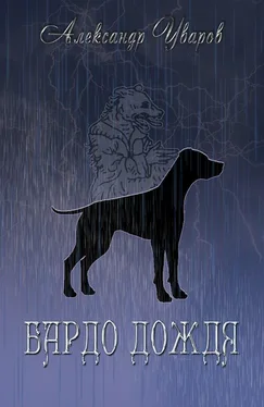 Александр Уваров Бардо дождя [СИ] обложка книги