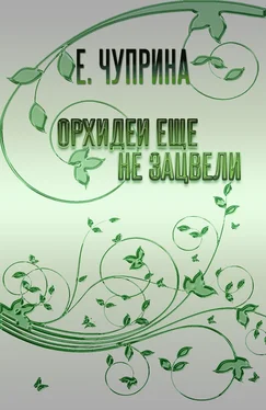 Евгения Чуприна Орхидеи еще не зацвели обложка книги