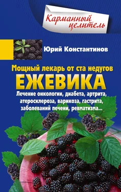 Юрий Константинов Мощный лекарь от ста недугов. Ежевика. Лечение онкологии, диабета, артрита, атеросклероза, варикоза, гастрита, заболеваний печени, ревматизма… обложка книги