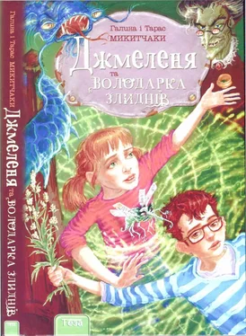 Тарас Микитчак Джмеленя та володарка злиднів обложка книги