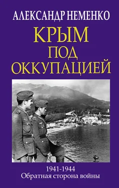 Александр Неменко Крым под оккупацией [litres] обложка книги