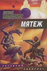 Евгений Малинин - Мятеж