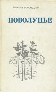 Михаил Воронецкий Новолунье обложка книги