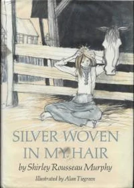 Ширли Мерфи Silver Woven In My Hair обложка книги