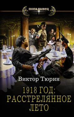 Виктор Тюрин 1918 год: Расстрелянное лето [litres] обложка книги